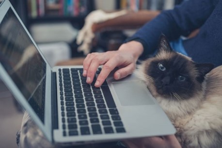 A cat sitting on top of a computer

Description automatically generated