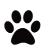 Image result for paw print