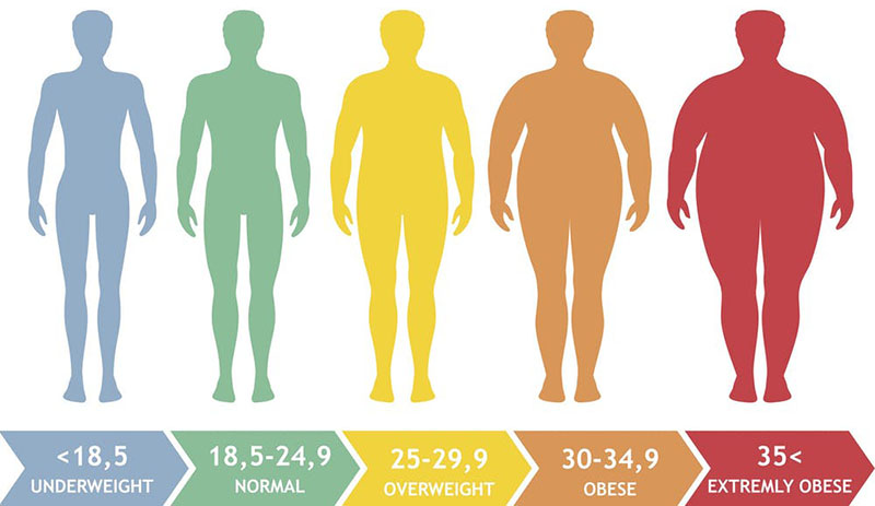 Obesity: Metabolic and Clinical Consequences - The Medical Biochemistry Page