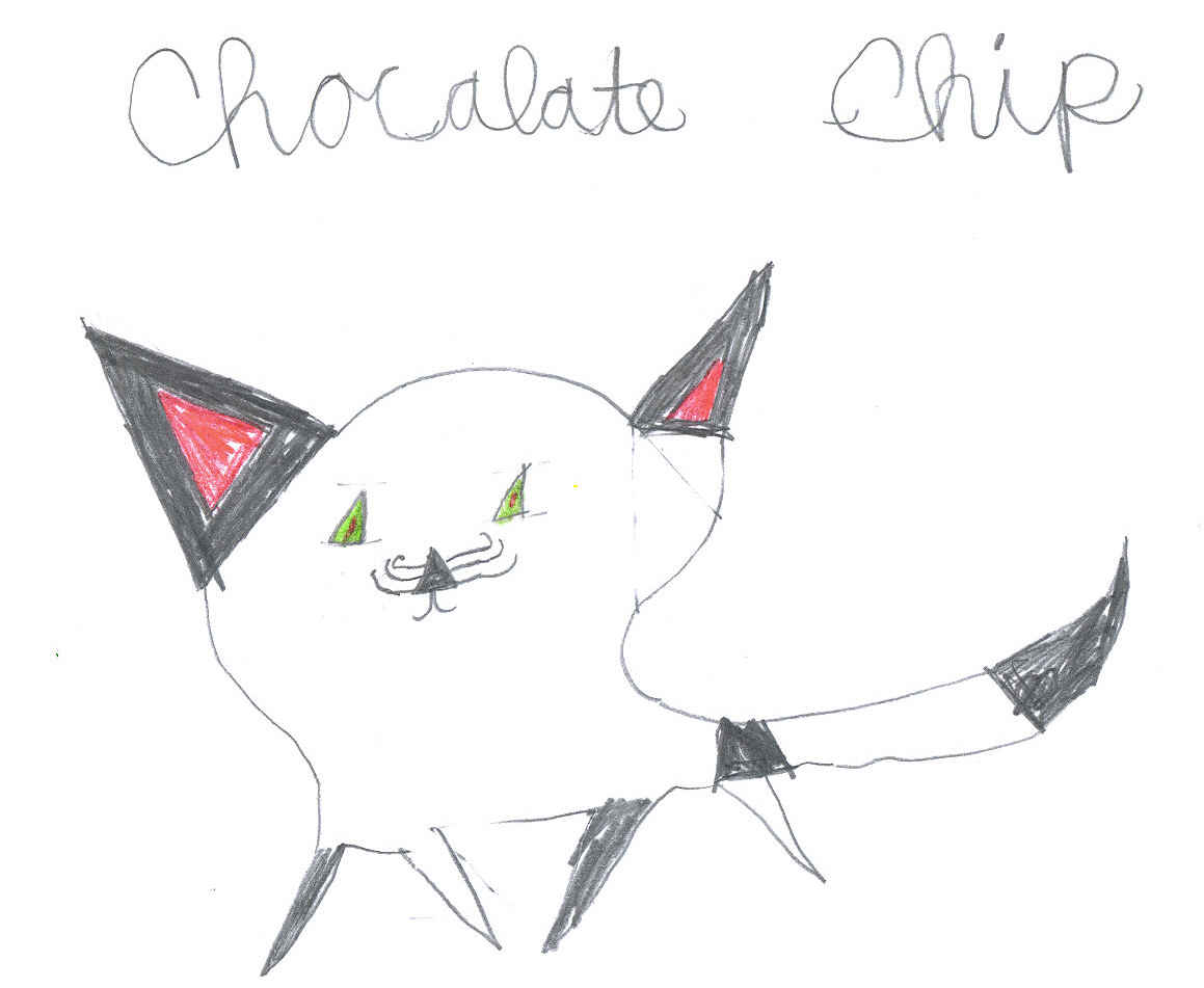 Chocalate Chip</i>