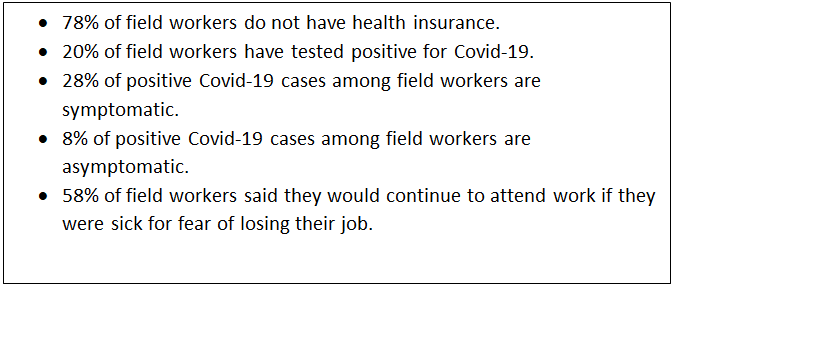 Text Box: 	78% of field workers do not have health insurance.
	20% of field workers have tested positive for Covid-19.
	28% of positive Covid-19 cases among field workers are symptomatic.
	8% of positive Covid-19 cases among field workers are asymptomatic.
	58% of field workers said they would continue to attend work if they were sick for fear of losing their job.

