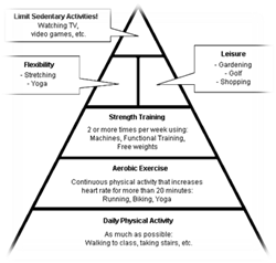 Fitness pyramid: what you should do the most and what should be done the  least. | Physical activities, Workout plan, Exercise