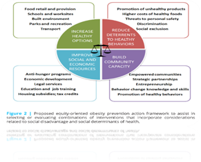 Getting to Equity in Obesity Prevention: A New Framework - National Academy  of Medicine