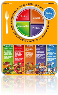 Amazon.com: Nutrition Education Store MyPlate Poster: Educational Prints:  Posters & Prints