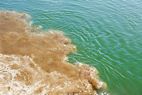 ater pollution - water pollution stock pictures, royalty-free photos & images