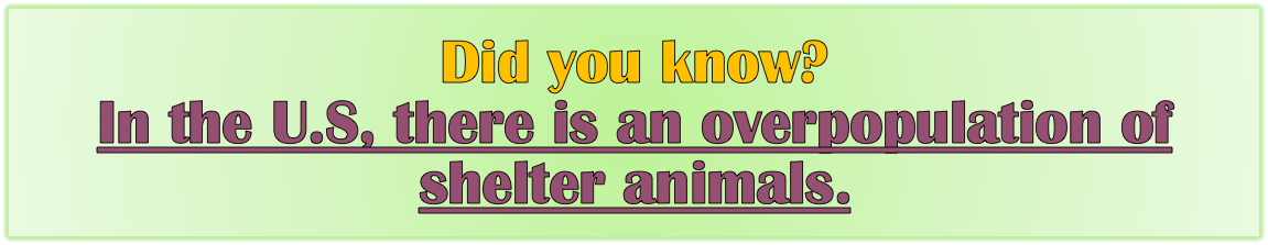 Text Box: Did you know?
In the U.S, there is an overpopulation of shelter animals.
