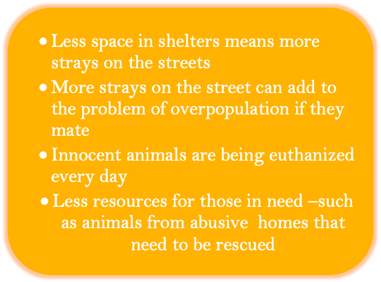 Rounded Rectangle: •	Less space in shelters means more strays on the streets 
•	More strays on the street can add to the problem of overpopulation if they mate
•	Innocent animals are being euthanized every day
•	Less resources for those in need –such as animals from abusive  homes that need to be rescued 
