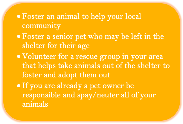 Rounded Rectangle: •	Foster an animal to help your local community
•	Foster a senior pet who may be left in the shelter for their age
•	Volunteer for a rescue group in your area that helps take animals out of the shelter to foster and adopt them out
•	If you are already a pet owner be responsible and spay/neuter all of your animals

