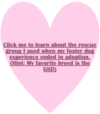 Reserved: Click me to learn about the rescue group I used when my foster dog experience ended in adoption.
(Hint: My favorite breed is the GSD)
