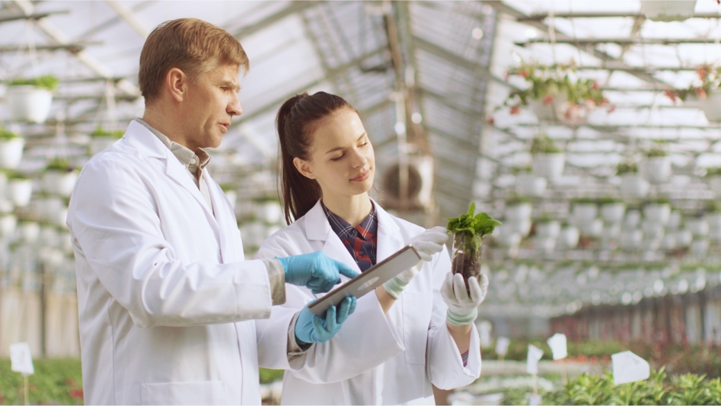 Two people holding plants

Description automatically generated with low confidence