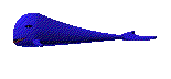 Whale