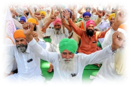 PICS: Farmers Protest Against Farm Bills in Haryana & Punjab - Photogallery