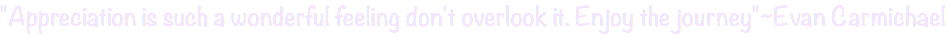 "Appreciation is such a wonderful feeling don't overlook it. Enjoy the journey"~Evan Carmichael