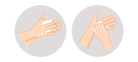 Wash Your Hands the Right Way - Margaret Mary Health | Margaret Mary Health