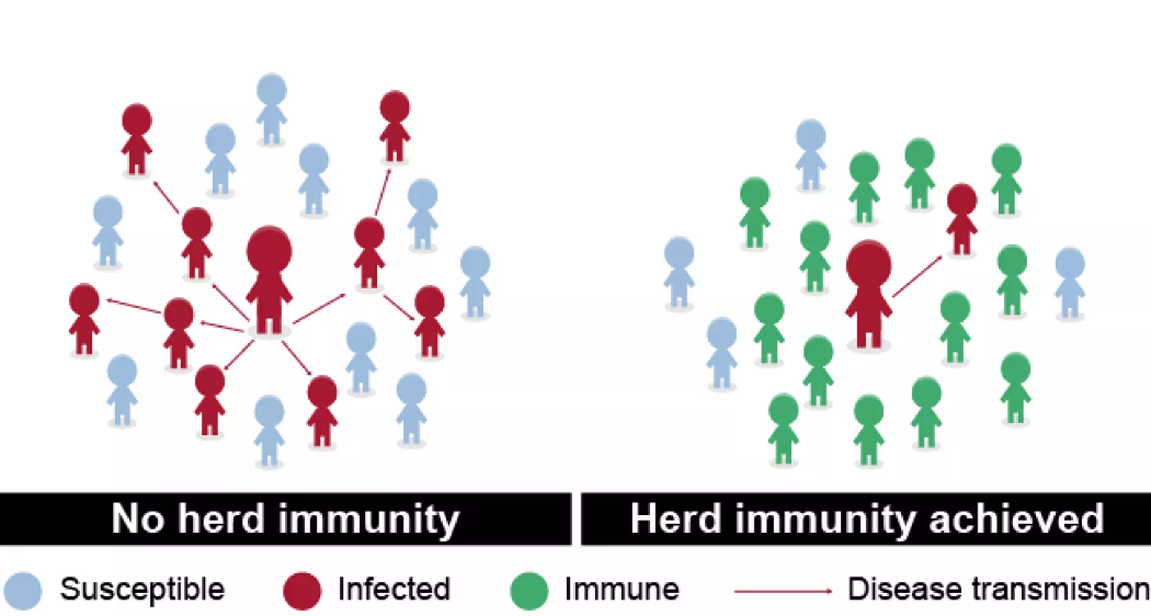 Text Box: Herd immunity for COIVD-19