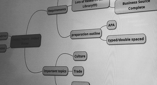 country report outline