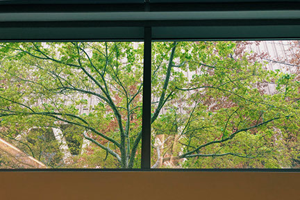 classroom view at sacramento state