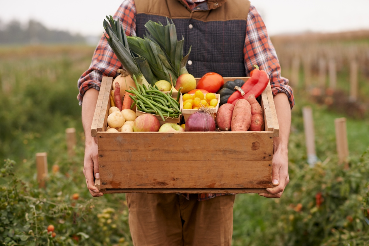 Box of fruits and vegetables